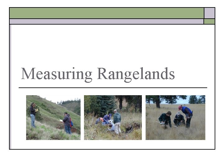 Measuring Rangelands 