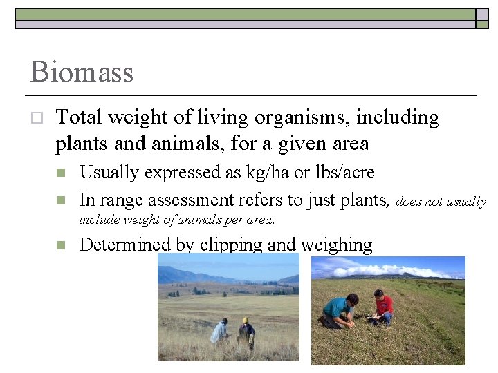 Biomass o Total weight of living organisms, including plants and animals, for a given