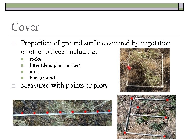 Cover o Proportion of ground surface covered by vegetation or other objects including: n