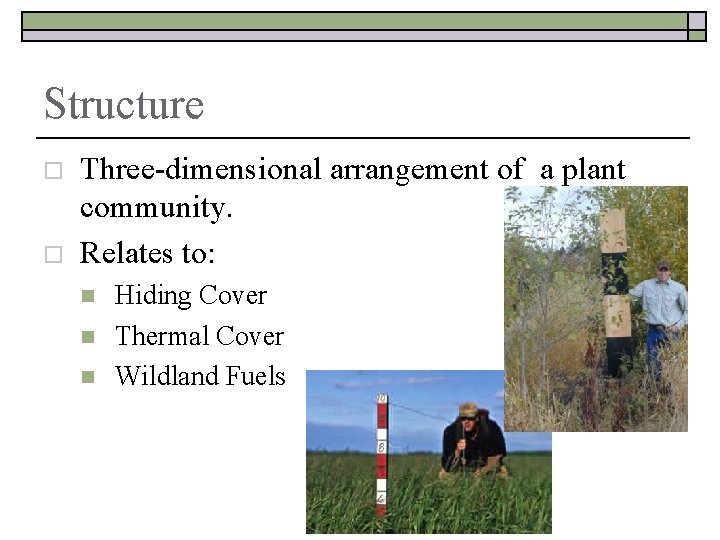 Structure o o Three-dimensional arrangement of a plant community. Relates to: n n n