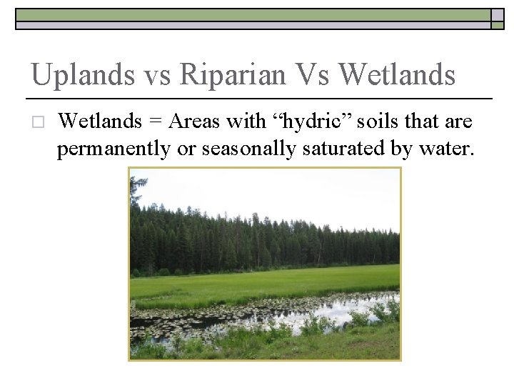 Uplands vs Riparian Vs Wetlands o Wetlands = Areas with “hydric” soils that are