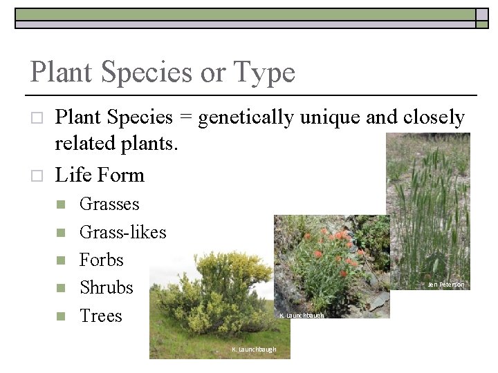 Plant Species or Type o o Plant Species = genetically unique and closely related