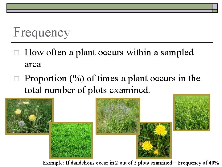 Frequency o o How often a plant occurs within a sampled area Proportion (%)