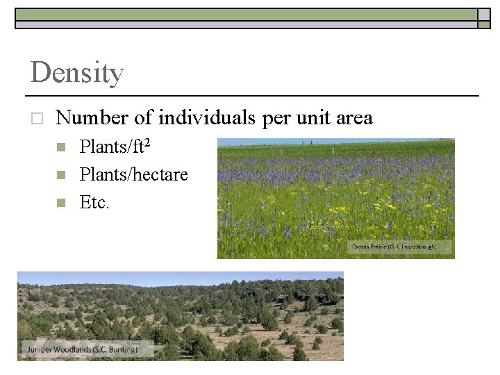 Density o Number of individuals per unit area n n n Plants/ft 2 Plants/hectare