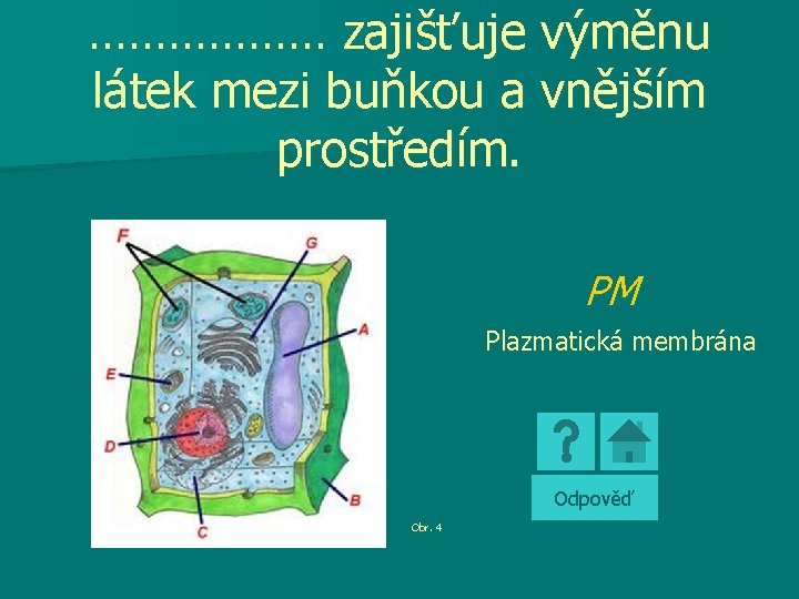 ……………… zajišťuje výměnu látek mezi buňkou a vnějším prostředím. PM Plazmatická membrána Odpověď Obr.