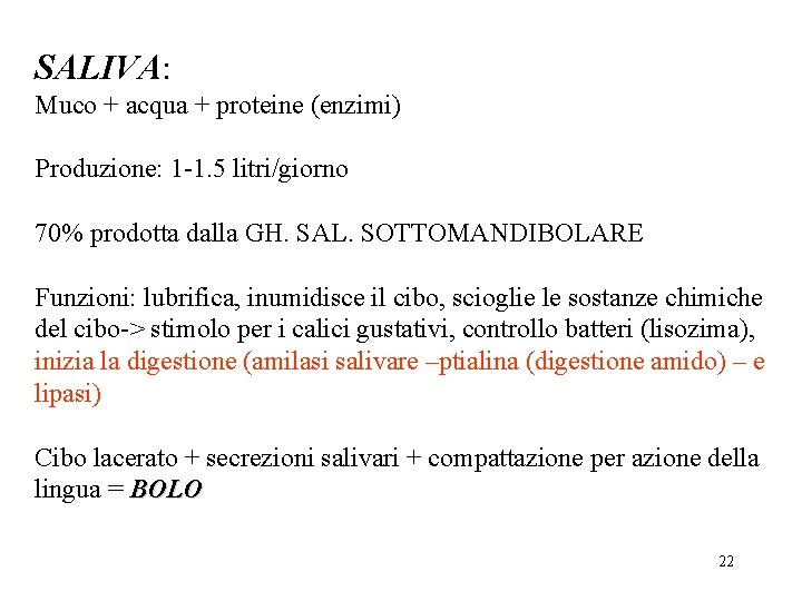 SALIVA: Muco + acqua + proteine (enzimi) Produzione: 1 -1. 5 litri/giorno 70% prodotta
