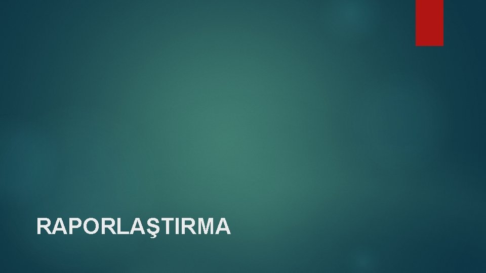 RAPORLAŞTIRMA 