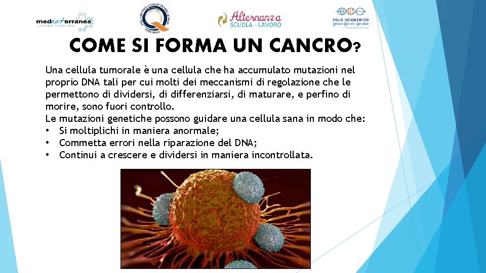 COME SI FORMA UN CANCRO? Una cellula tumorale è una cellula che ha accumulato