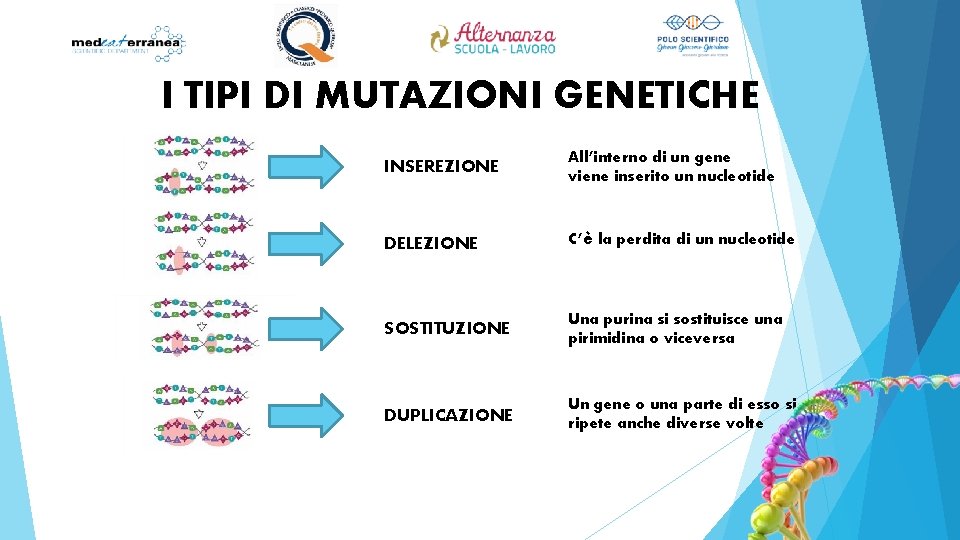 I TIPI DI MUTAZIONI GENETICHE INSEREZIONE All’interno di un gene viene inserito un nucleotide