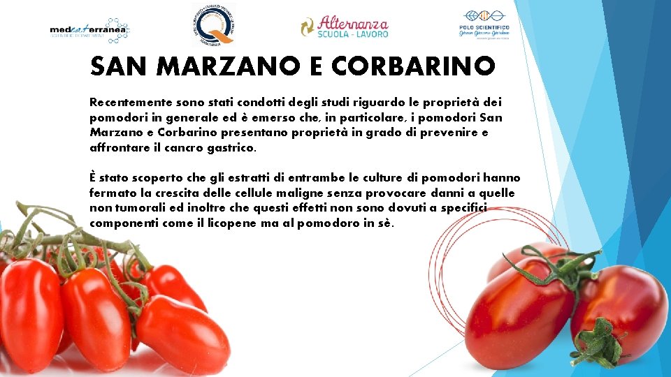 SAN MARZANO E CORBARINO Recentemente sono stati condotti degli studi riguardo le proprietà dei
