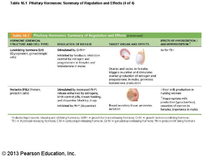 Table 16. 1 Pituitary Hormones: Summary of Regulation and Effects (4 of 4) ©