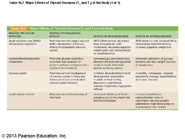 Table 16. 2 Major Effects of Thyroid Hormone (T 4 and T 3) in