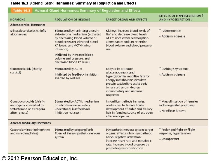 Table 16. 3 Adrenal Gland Hormones: Summary of Regulation and Effects © 2013 Pearson