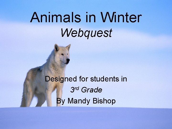 Animals in Winter Webquest Designed for students in 3 rd Grade By Mandy Bishop