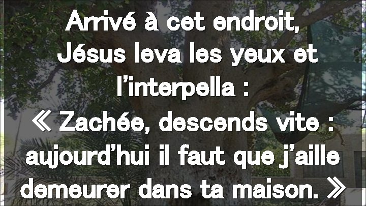 Arrivé à cet endroit, Jésus leva les yeux et l'interpella : « Zachée, descends