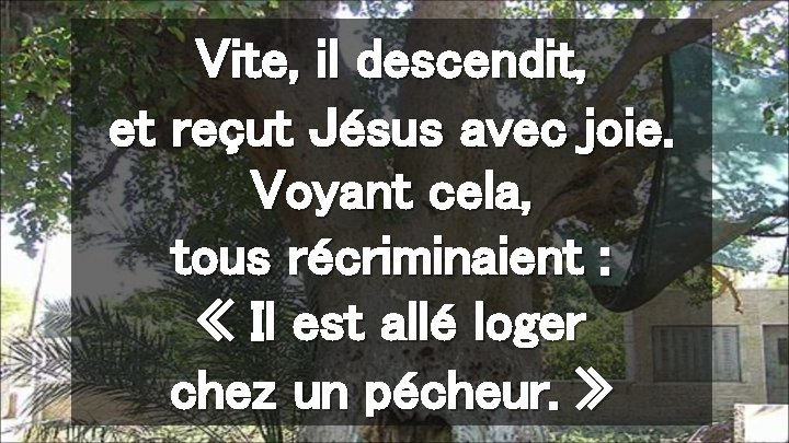 Vite, il descendit, et reçut Jésus avec joie. Voyant cela, tous récriminaient : «