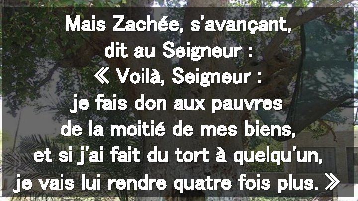 Mais Zachée, s'avançant, dit au Seigneur : « Voilà, Seigneur : je fais don