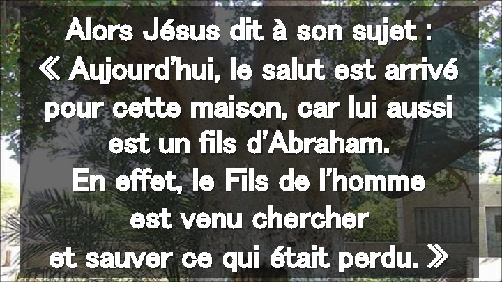 Alors Jésus dit à son sujet : « Aujourd'hui, le salut est arrivé pour