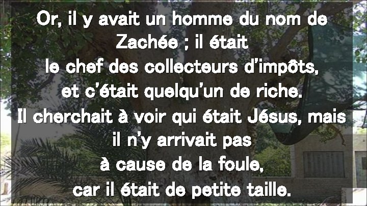 Or, il y avait un homme du nom de Zachée ; il était le