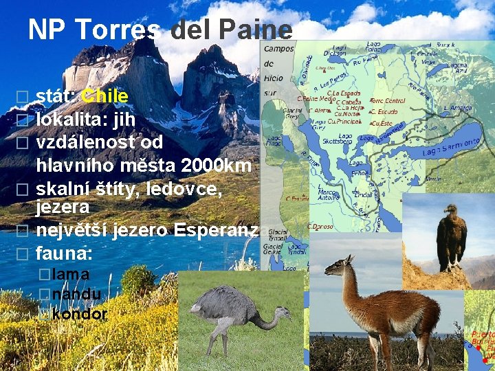 NP Torres del Paine stát: Chile lokalita: jih vzdálenost od hlavního města 2000 km