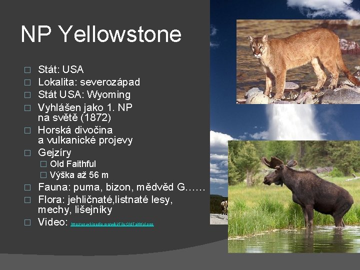 NP Yellowstone Stát: USA Lokalita: severozápad Stát USA: Wyoming Vyhlášen jako 1. NP na