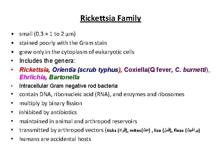 Rickettsia Family • • • small (0. 3 × 1 to 2 μm) stained