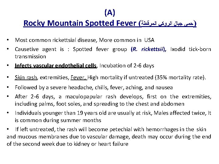 (A) Rocky Mountain Spotted Fever ( )ﺣﻤﻰ ﺟﺒﺎﻝ ﺍﻟﺮﻭﻛﻲ ﺍﻟﻤﺮﻗﻄﺔ • Most common rickettsial