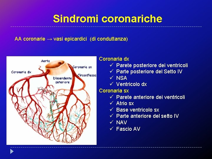 Sindromi coronariche AA coronarie → vasi epicardici (di conduttanza) Coronaria dx ü Parete posteriore