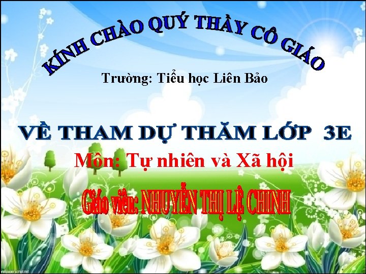 Trường: Tiểu học Liên Bảo Môn: Tự nhiên và Xã hội 