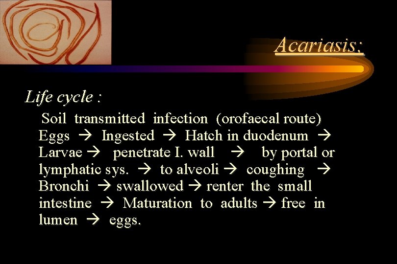 Acariasis; Life cycle : Soil transmitted infection (orofaecal route) Eggs Ingested Hatch in duodenum Acariasis; Life cycle : Soil transmitted infection (orofaecal route) Eggs Ingested Hatch in duodenum