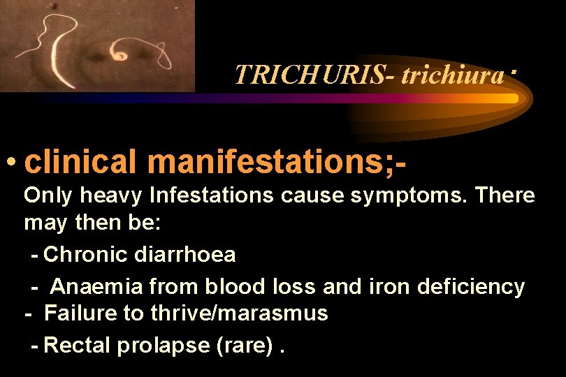 . TRICHURIS- trichiura • clinical manifestations; Only heavy Infestations cause symptoms. There may then . TRICHURIS- trichiura • clinical manifestations; Only heavy Infestations cause symptoms. There may then