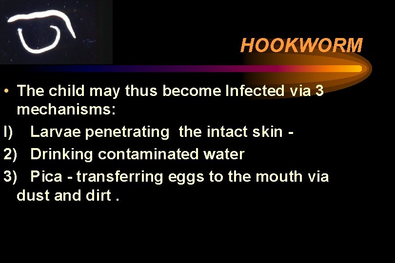 HOOKWORM • The child may thus become Infected via 3 mechanisms: I) Larvae penetrating HOOKWORM • The child may thus become Infected via 3 mechanisms: I) Larvae penetrating