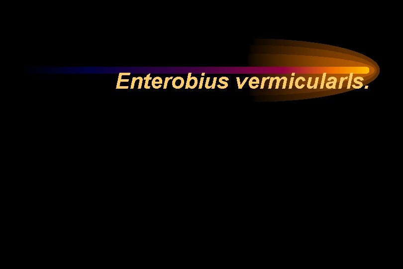 Enterobius vermicularls. Enterobius vermicularls.