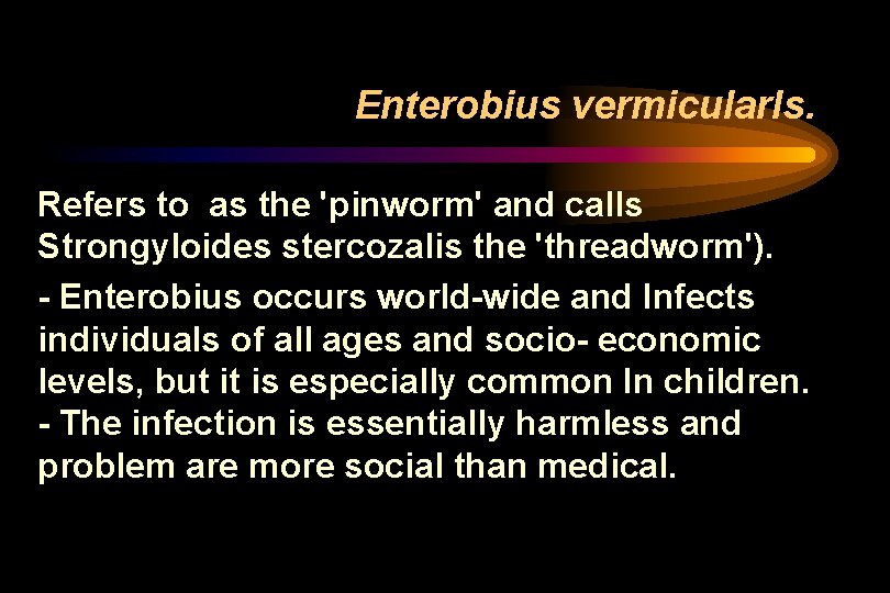 Enterobius vermicularls. Refers to as the 'pinworm' and calls Strongyloides stercozalis the 'threadworm'). - Enterobius vermicularls. Refers to as the 'pinworm' and calls Strongyloides stercozalis the 'threadworm'). -