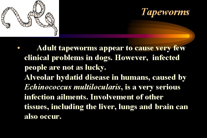 Tapeworms • Adult tapeworms appear to cause very few clinical problems in dogs. However, Tapeworms • Adult tapeworms appear to cause very few clinical problems in dogs. However,