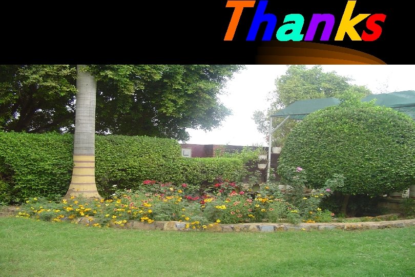 Thanks Thanks