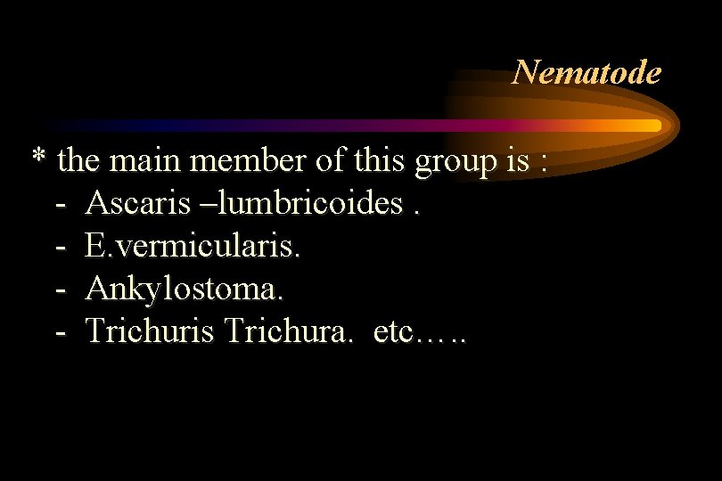 Nematode * the main member of this group is : - Ascaris –lumbricoides. - Nematode * the main member of this group is : - Ascaris –lumbricoides. -