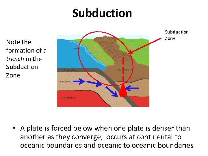 Subduction Note the formation of a trench in the Subduction Zone • A plate