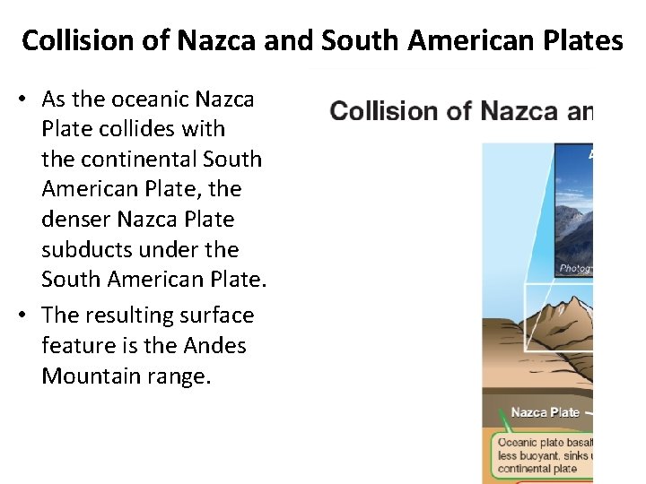 Collision of Nazca and South American Plates • As the oceanic Nazca Plate collides