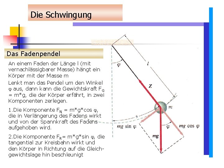 Die Schwingung Das Fadenpendel An einem Faden der Länge l (mit vernachlässigbarer Masse) hängt Die Schwingung Das Fadenpendel An einem Faden der Länge l (mit vernachlässigbarer Masse) hängt