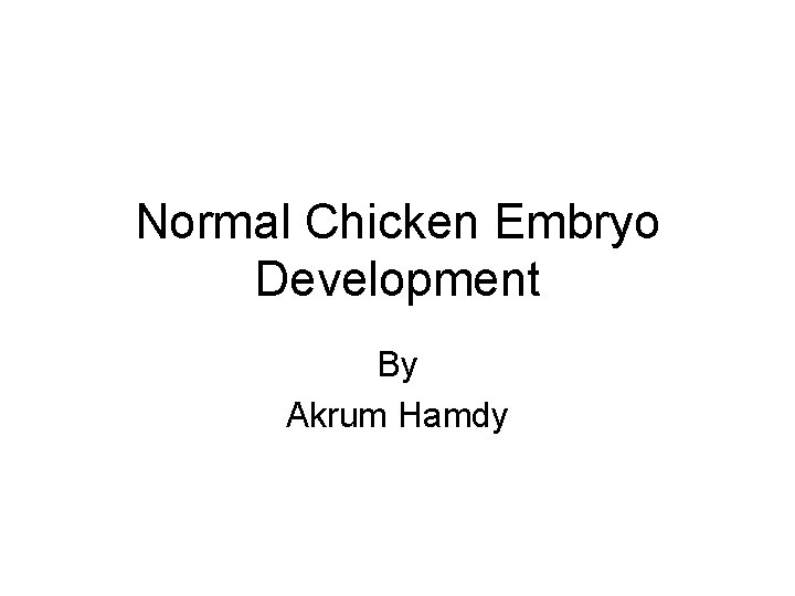 Normal Chicken Embryo Development By Akrum Hamdy 