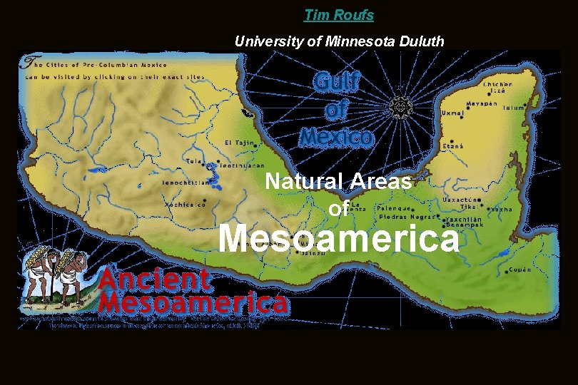 Tim Roufs University of Minnesota Duluth Natural Areas of Mesoamerica 