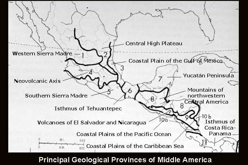 Central High Plateau Western Sierra Madre Coastal Plain of the Gulf of Mexico Yucatán