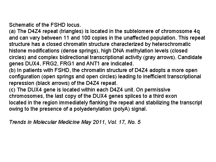 Schematic of the FSHD locus. (a) The D 4 Z 4 repeat (triangles) is