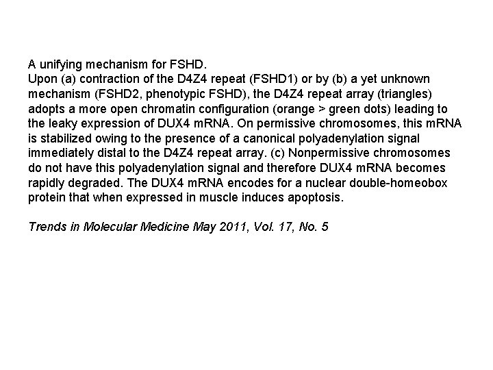 A unifying mechanism for FSHD. Upon (a) contraction of the D 4 Z 4