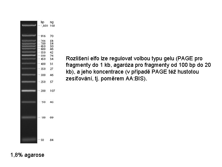 Rozlišení elfo lze regulovat volbou typu gelu (PAGE pro fragmenty do 1 kb, agaróza