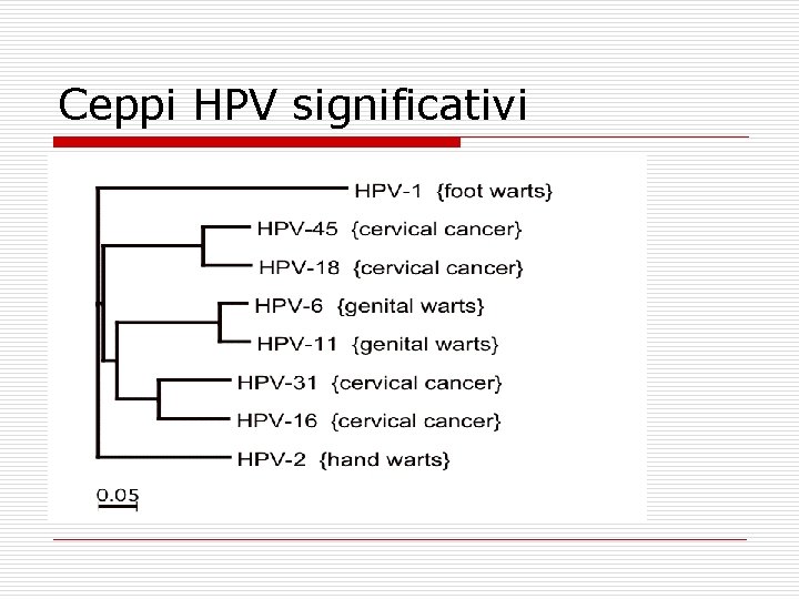 Ceppi HPV significativi 