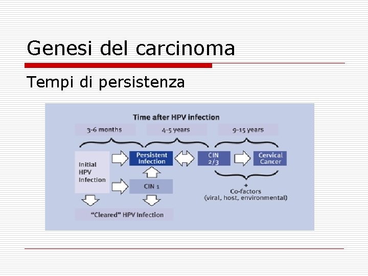 Genesi del carcinoma Tempi di persistenza 