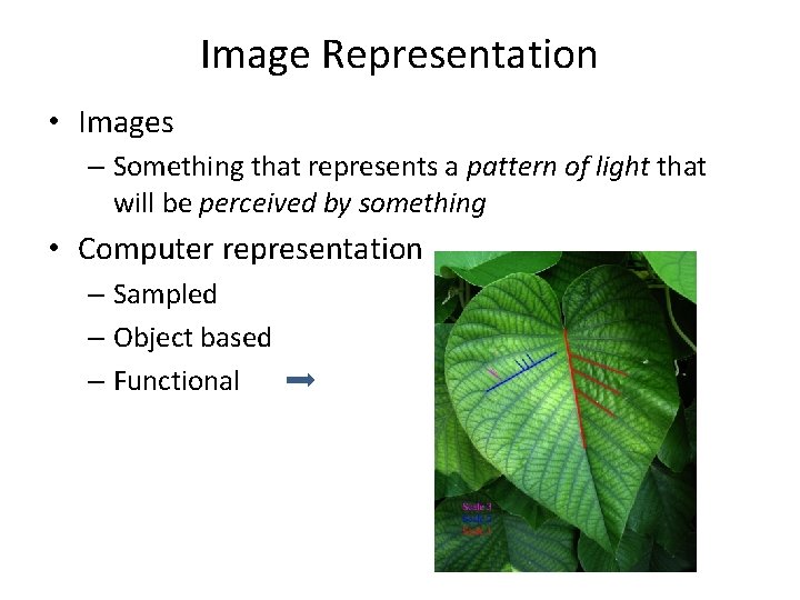 Image Representation • Images – Something that represents a pattern of light that will