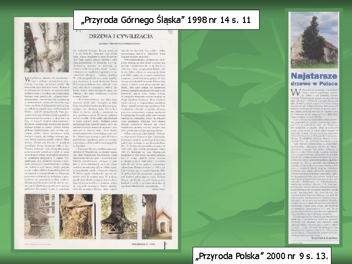 „Przyroda Górnego Śląska” 1998 nr 14 s. 11 „Przyroda Polska” 2000 nr 9 s.